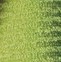 Everyday Farbe